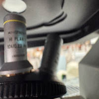 Leica DMi1 Inverted Microscope image 2